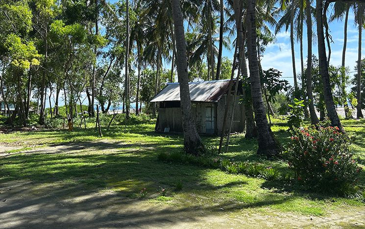 Wooden shelter in amongst trees