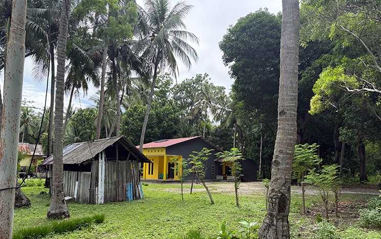 A communal generator surrounded by trees