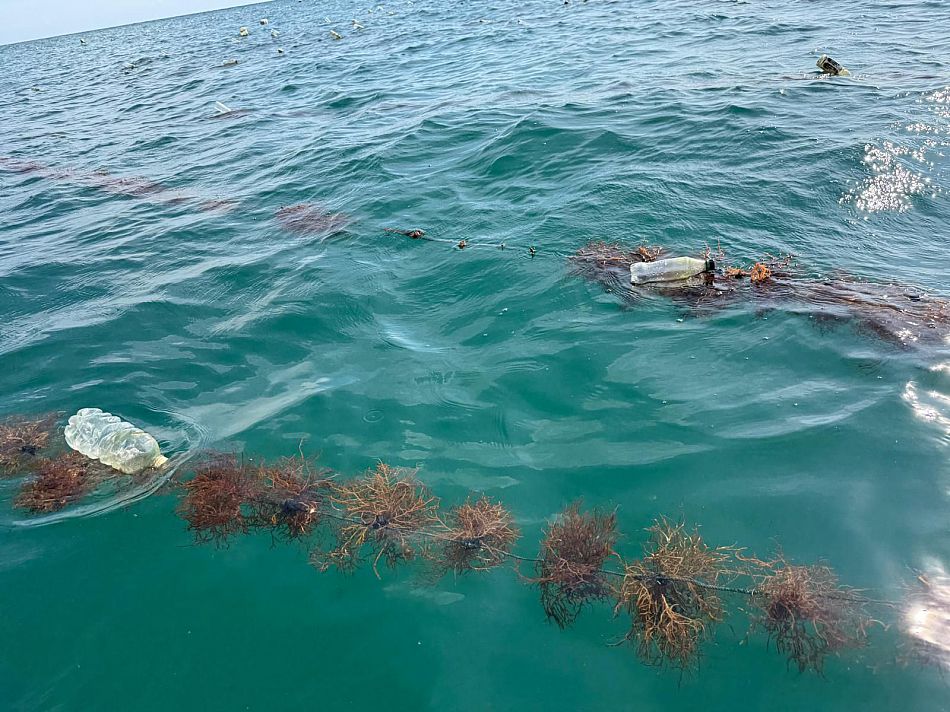 Lines of seaweed with plastic bottles as buoys