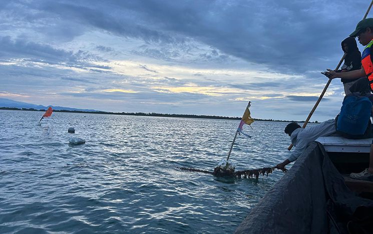 People on the edge of a boat with lines of seaweed in the sea
