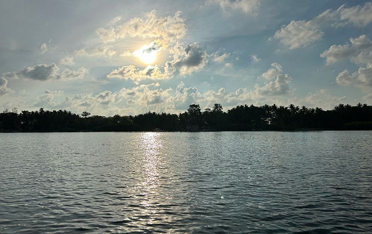 Sunset over distant forest and sea