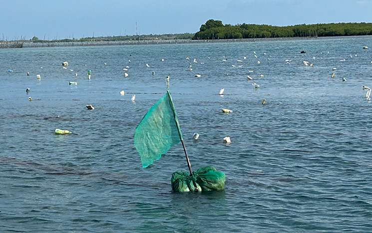 Make-do markers identifying individual seaweed farms.