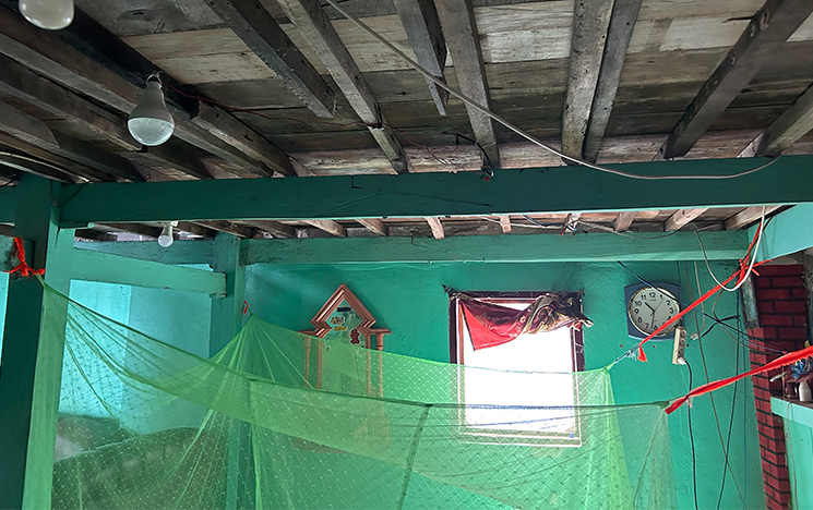 Wires, ropes and mosquito nets coverage.