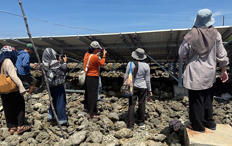 Group taking photos of solar panels