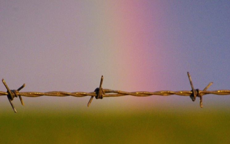 Barbed wire with a rainbow behind