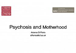 Psychosis and Motherhood Slides