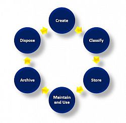 Records Management life cycle