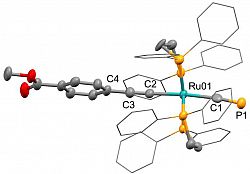 Molecular structure of [Ru(dppe)2(CCC6H4CO2Me)(CP)]