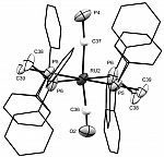 Trans-carbonyl-cyaphide ruthenium(II) cation