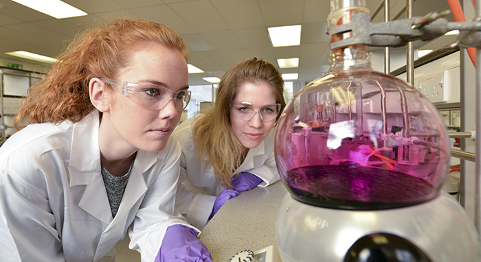 PhD students conduct an experiment in a science lab at the University of Sussex
