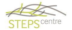 STEPS Centre logo