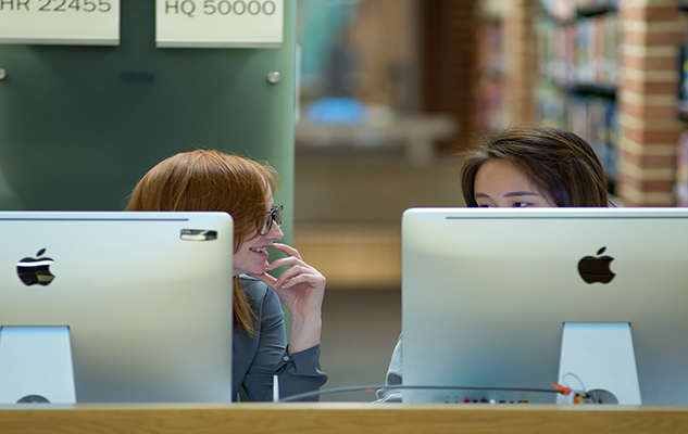 Students on computers in the library at the University of Sussex