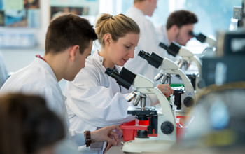 Researchers in a science lab