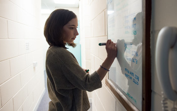 An academic writing on a white board at the University of Sussex