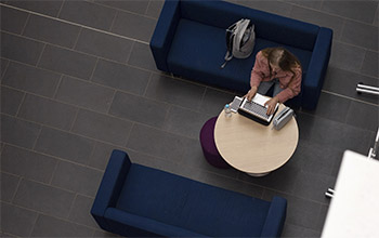 Student studying in a study space at the University of Sussex
