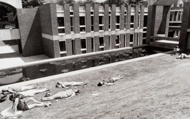 students sunbathing around the arts pond in the 1960s