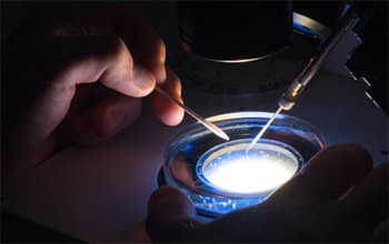 A scientist carrying out an experiment in a lab at the University of Sussex