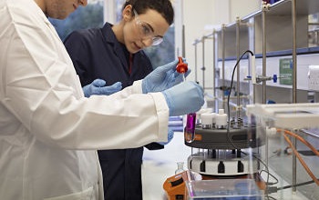 People collaborating in a lab at the University of Sussex