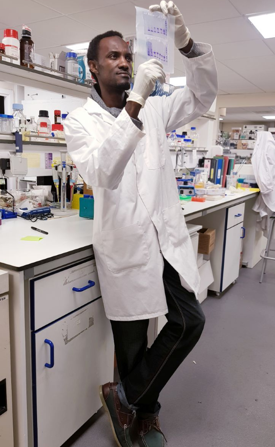 Mahmoud Maina