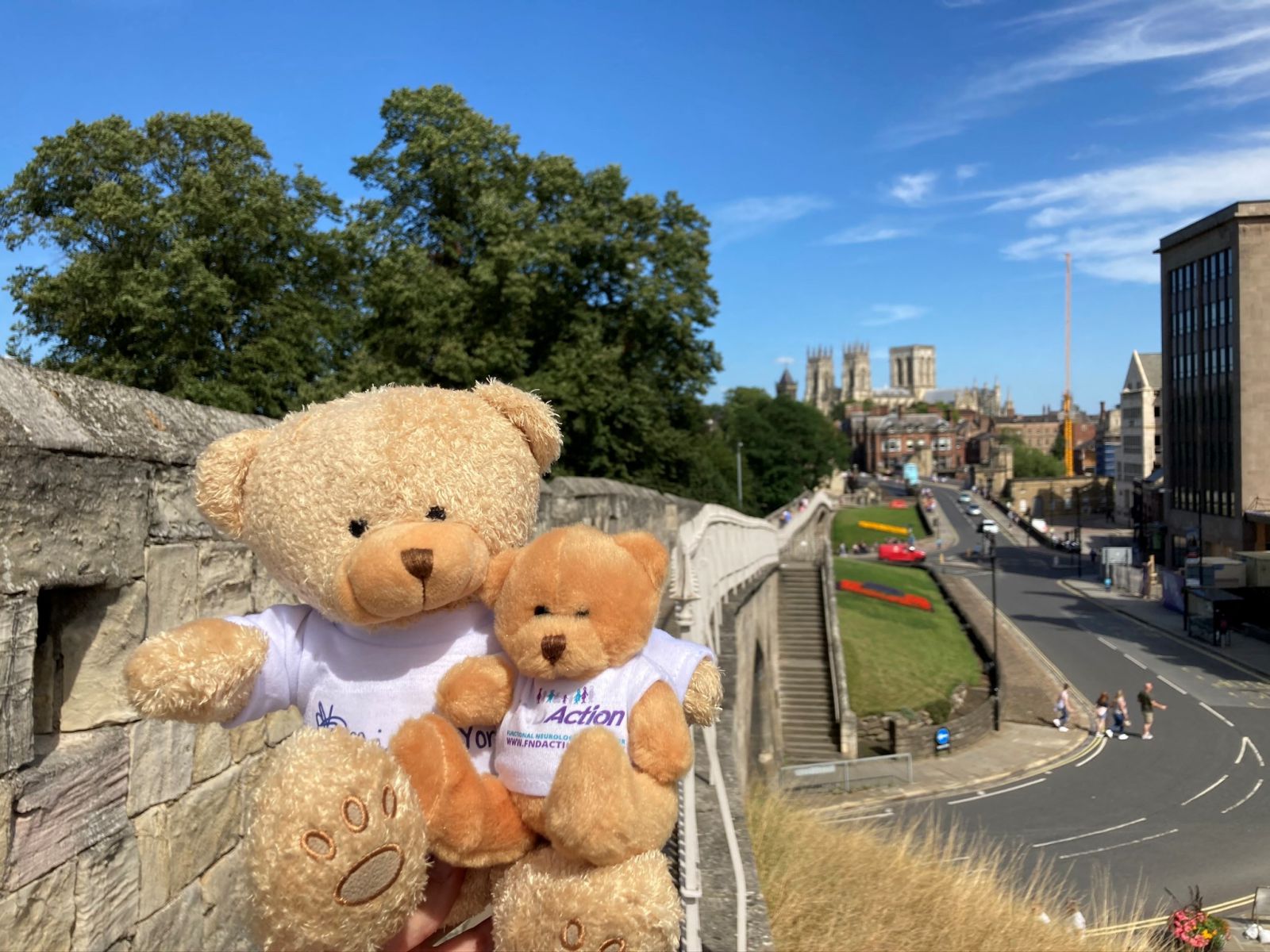 Picture of two teddies dressed in fundraising t-shirts