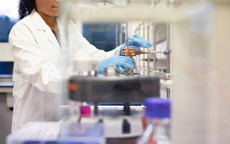 Student in a lab at the University of Sussex