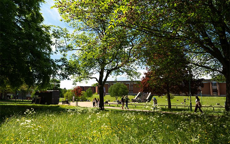 The red brick of campus buildings in the background, lush green trees and grass in the foreground