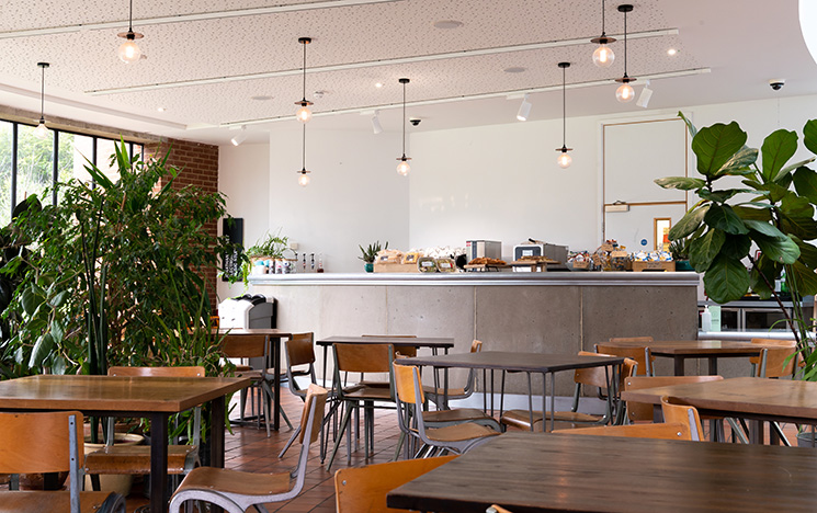 Interior of the eatery in the Attenborough Centre showing the furniture and green plants