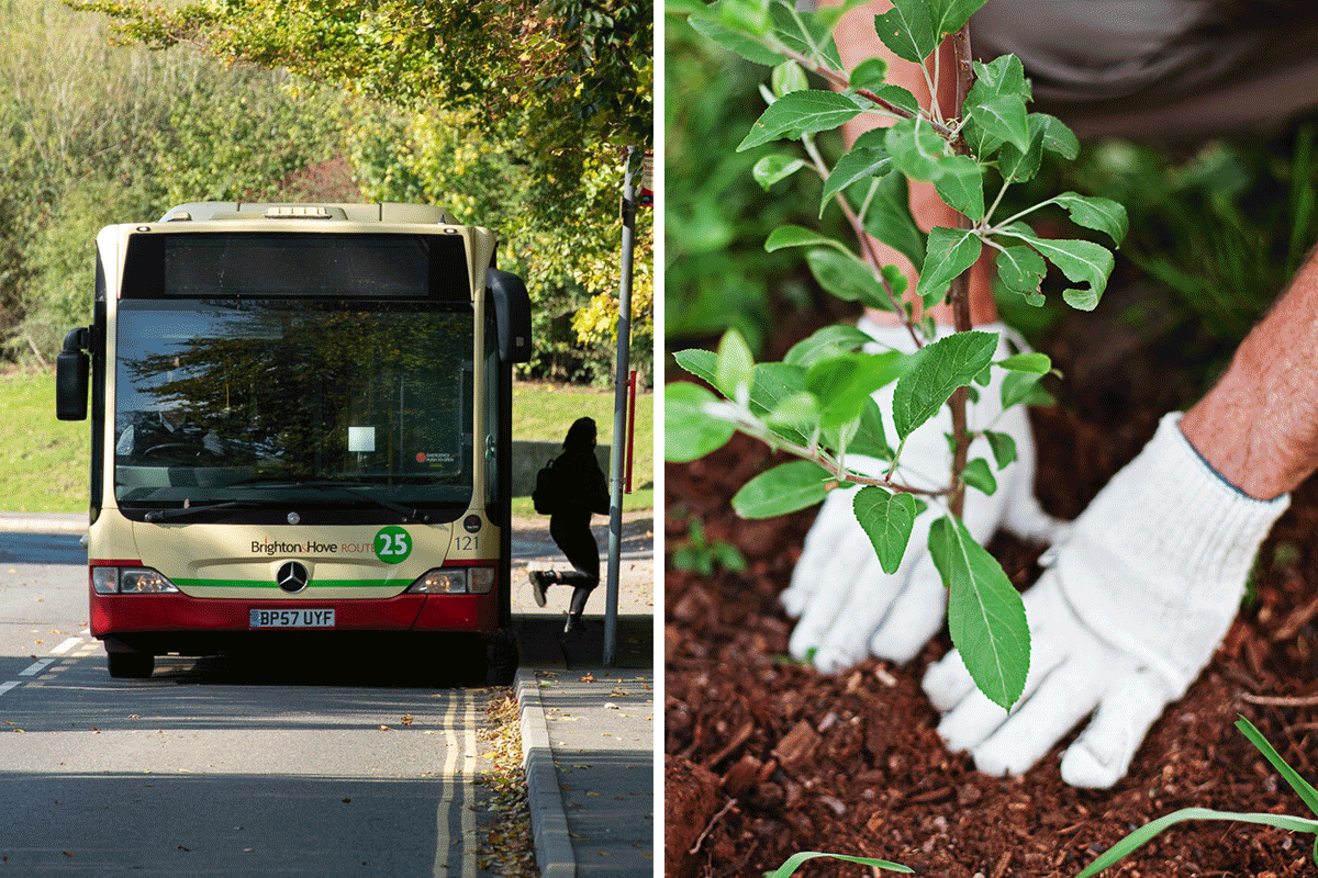 Side by side images of bus at bus stop and hands planting a tree in soil.
