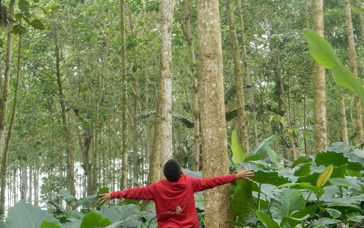 Person stood with arms wide open in front of some trees