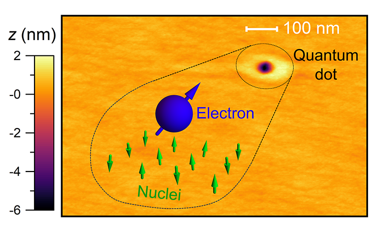 Semiconductor Spin Qubits