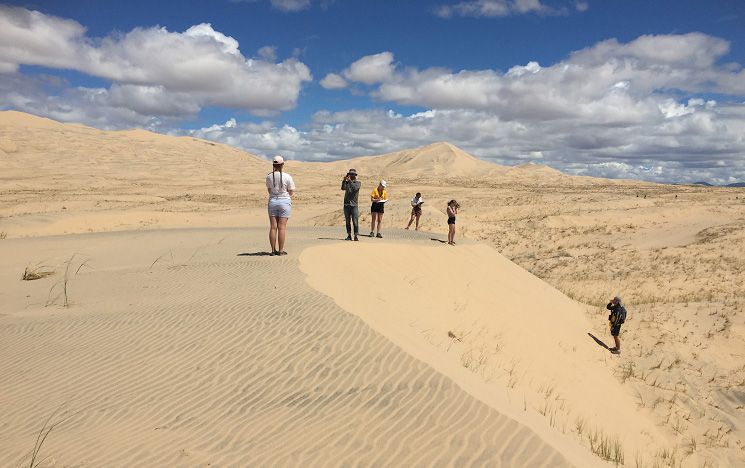 Desert