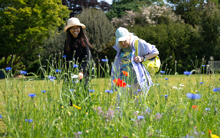 Two women walking through a field of wildflowers in the sunshine.