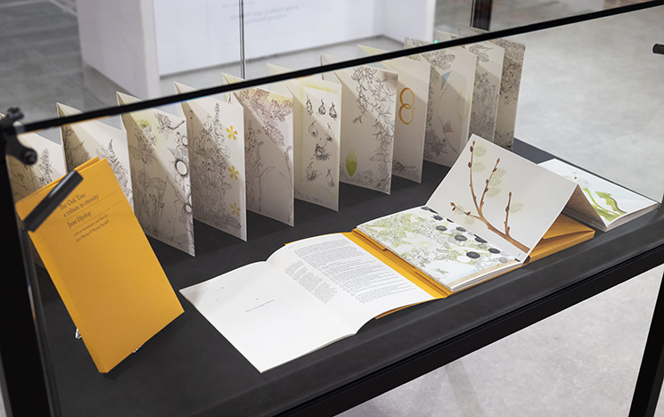 Display cabinet containing a concertina book of illustrations by artist Jane Hyslop, titled The Oak Tree