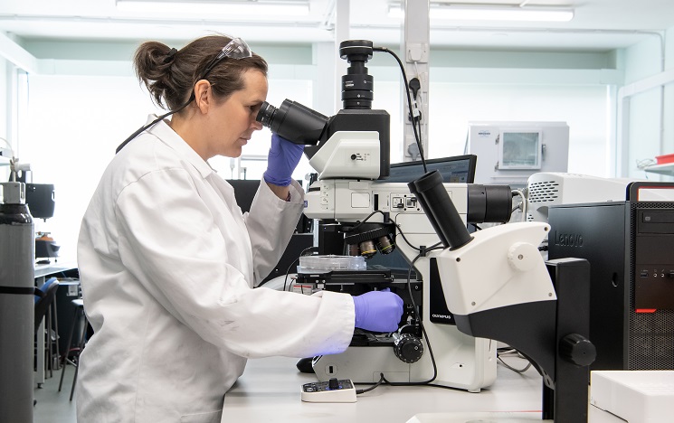 A scientist with hair pulled back, wearing a white coat, looking into a large microscope and adjusting the focus