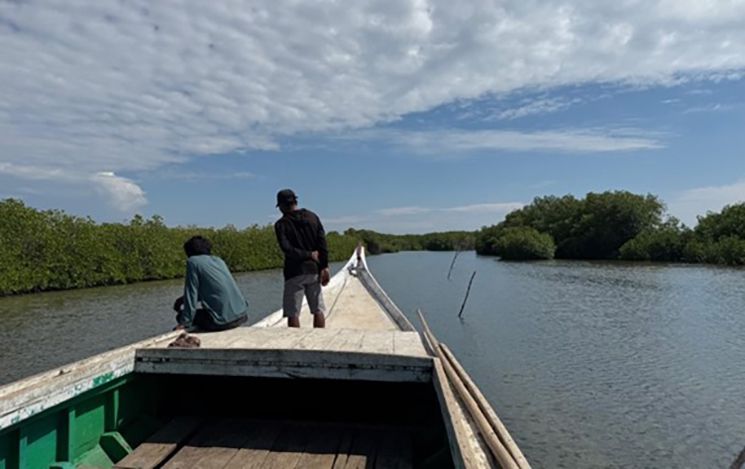 People on a boat looking into the sea
