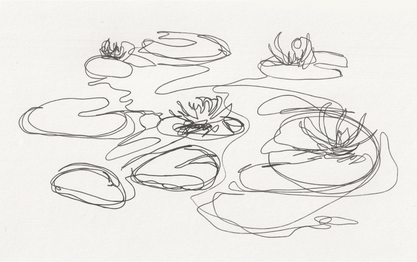 Abstract line drawing of lily pads and flowers on water. The sketch has a simplistic style.