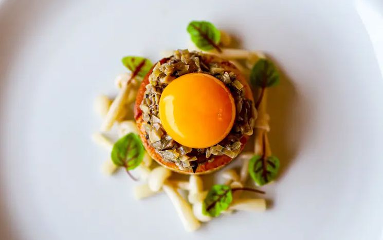 Dish with egg and salad leaves