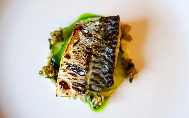 Fish stacked on ingredients