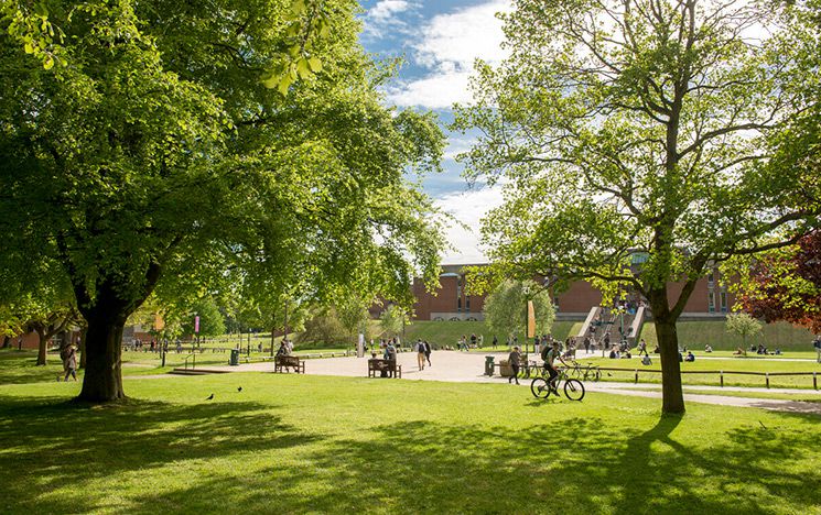  Trees and grass with people walking and cycling