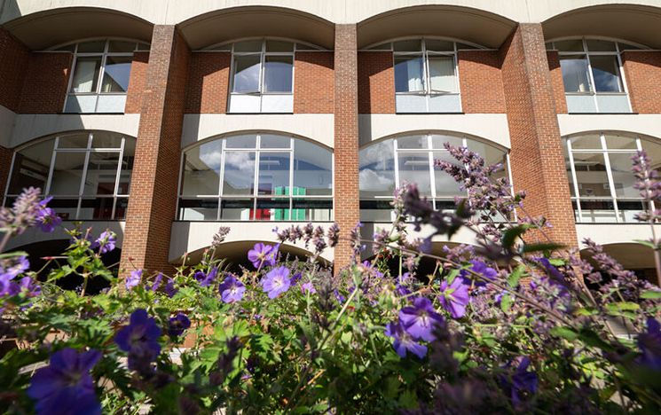 Building with purple flowers in front