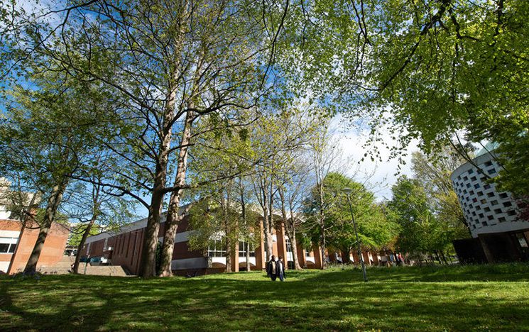 Trees and grass in front of circular building