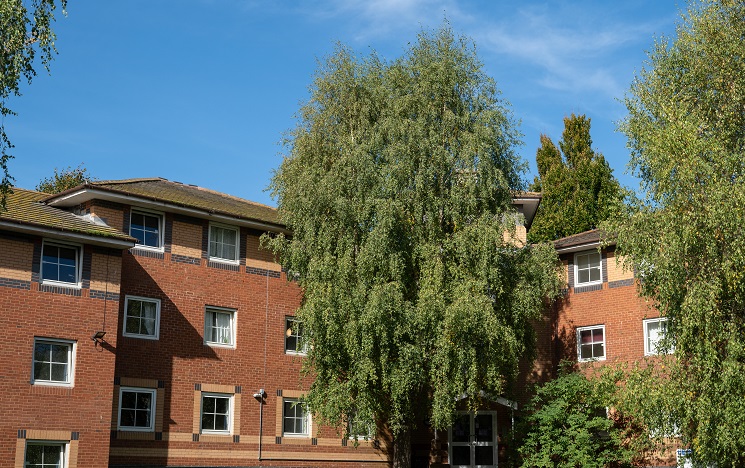 Red brick blocks of student accommodation with silver birch trees in front