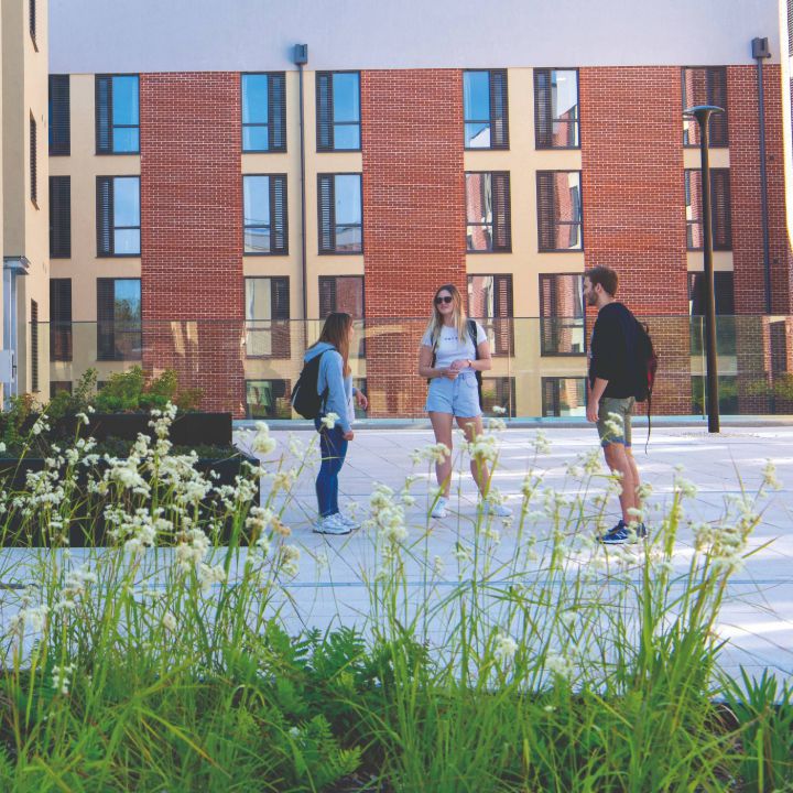 Three students chat outside accommodation