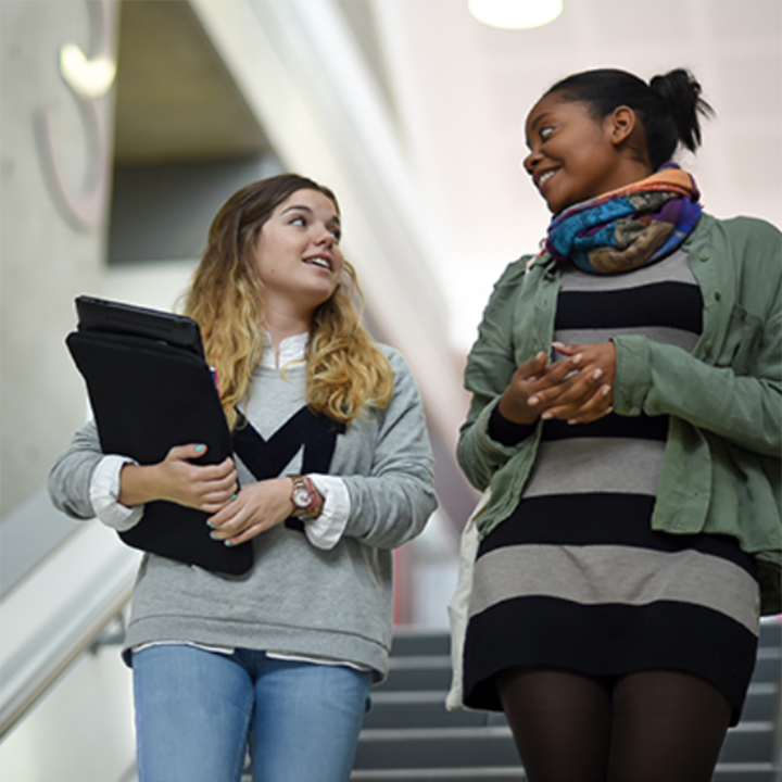 Two students talking whilst walking down stairs.