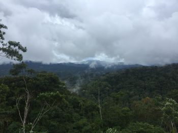 View of transpiration from tropical rainforest at case study site in northeast Peru