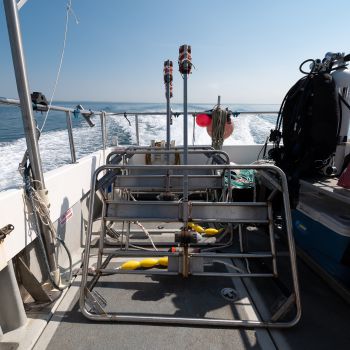 A metal frame carrying a trap for dead fish used as bait, and a mounted camera - known as a baited remote underwater video.