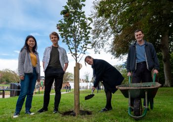 Two people standing either side of a newly planted tree with one woman holding a spade and bending slightly to fill in a hole with soil