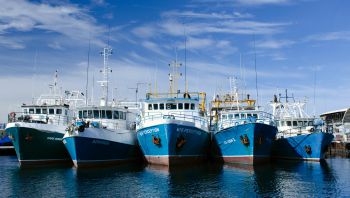 Five blue and white fishing boats sit in the harbour with their bows facing the camera