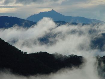 Looking from a birds eye view above Los Cedros Cloud Forest