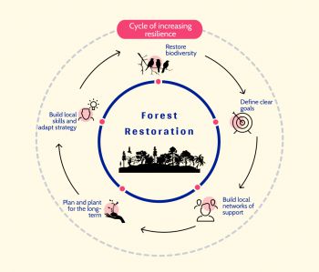 Infographic on ‘forest restoration’ approach